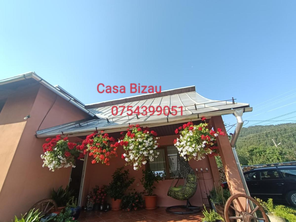 Viseu de Mijloc Casa Bizau酒店 外观 照片